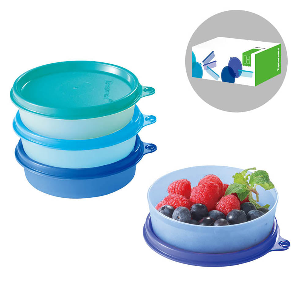 フリーザーボール（小）（４）ギフト | Official Store Tupperware 